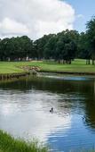 Туры в отель Margaritaville Lake Resort, Lake Conroe/Houston
