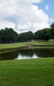 Туры в отель Margaritaville Lake Resort, Lake Conroe/Houston