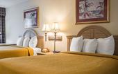 Туры в отель Quality Inn & Suites Brooksville I-75/Dade City