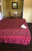 Туры в отель Blue Spring Inn Orange City