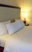 Туры в отель Hampton Inn Debary/Deltona