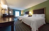 Туры в отель Hampton Inn Brooksville Dade