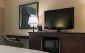 Туры в отель Hampton Inn Brooksville Dade