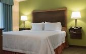Туры в отель Hampton Inn Brooksville Dade