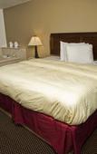 Туры в отель Express Inn & Suites