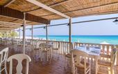 Туры в отель Pallini Beach