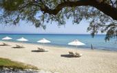 Туры в отель Pallini Beach
