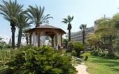 Туры в отель Palm Beach Hotel & Bungalows