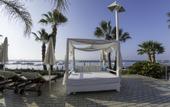 Туры в отель Palm Beach Hotel & Bungalows