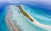 Туры в отель Palm Beach Island Resort & Spa