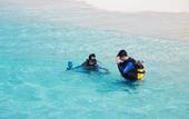 Туры в отель Palm Beach Island Resort & Spa