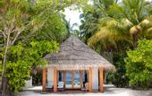 Туры в отель Palm Beach Island Resort & Spa