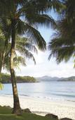 Туры в отель Palm Bungalows