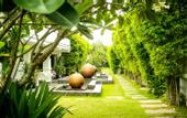 Туры в отель Palm Grove Resort