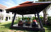 Туры в отель Palm Grove Resort