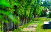 Туры в отель Palm Grove Resort