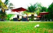 Туры в отель Palm Grove Resort