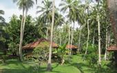 Туры в отель Palm Paradise Cabanas