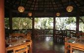 Туры в отель Palm Paradise Cabanas