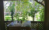 Туры в отель Palm Paradise Cabanas