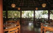Туры в отель Palm Paradise Cabanas