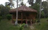 Туры в отель Palm Paradise Cabanas