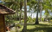 Туры в отель Palm Paradise Cabanas