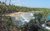Туры в отель Palm Paradise Cabanas