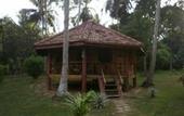 Туры в отель Palm Paradise Cabanas