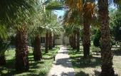 Туры в отель Palmeden Hotel