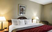 Туры в отель Quality Inn & Suites Houma