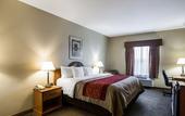 Туры в отель Quality Inn & Suites Houma