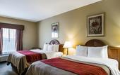 Туры в отель Quality Inn & Suites Houma
