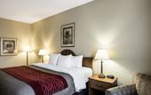 Туры в отель Quality Inn & Suites Houma