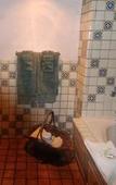 Туры в отель The Inn at the Delta