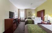 Туры в отель Comfort Inn Decatur Priceville
