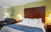 Туры в отель Comfort Inn Decatur Priceville