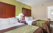 Туры в отель Comfort Inn Decatur Priceville