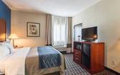 Туры в отель Comfort Inn Decatur Priceville