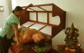 Туры в отель Panchi Villa Bentota