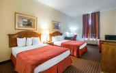 Туры в отель Rodeway Inn Wesley Chapel