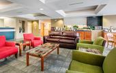 Туры в отель Rodeway Inn Wesley Chapel