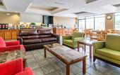 Туры в отель Rodeway Inn Wesley Chapel