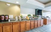 Туры в отель Rodeway Inn Wesley Chapel