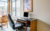 Туры в отель Rodeway Inn Wesley Chapel