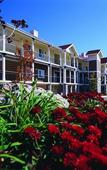 Туры в отель Club Wyndham Mountain Vista
