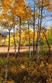 Туры в отель Daniels Summit Lodge