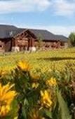 Туры в отель Daniels Summit Lodge