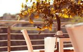 Туры в отель AmbientHotels Panoramic