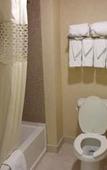 Туры в отель Hampton Inn & Suites Bolingbrook